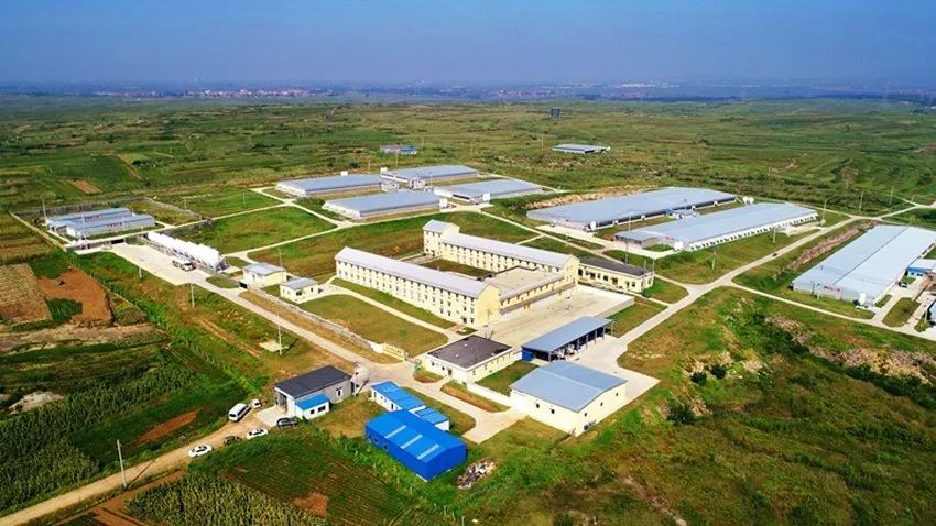 天辰娱乐移动端微商城手机版远程运营控制中心图片