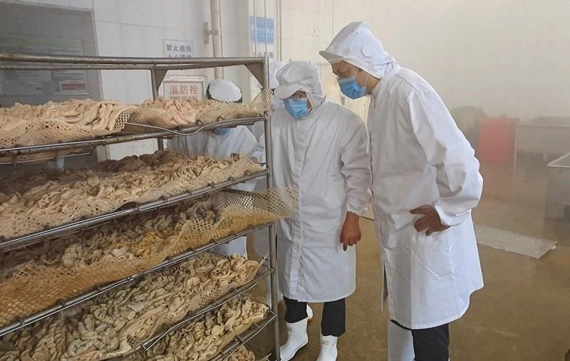天辰娱乐通用行业大宗贸易综合服务网页标准配置图片